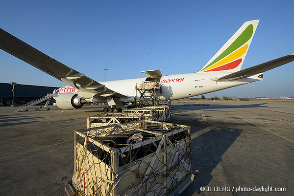 Liege airport
cargo nord